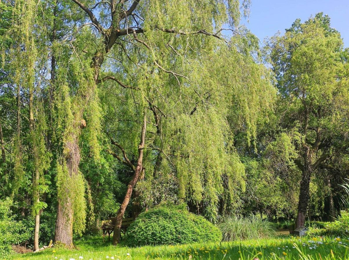 Le Moulin De Benneville Chambres D'Hotes, Petit Dejeuner Compris Cahagnes Exteriör bild